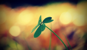 勒沃库森队改变进攻战术,助球队逆袭成功 勒沃库森队改变进攻战术,助球队逆袭成功