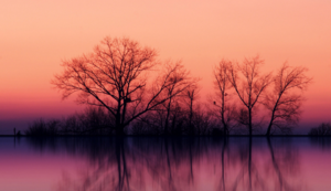 勒沃库森队改变进攻战术，助球队逆袭成功