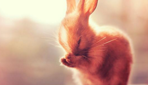 北马其顿队不敌波兰，卫冕冠军发威