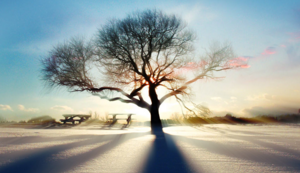 北马其顿队不敌波兰,卫冕冠军发威 北马其顿队不敌波兰,卫冕冠军发威