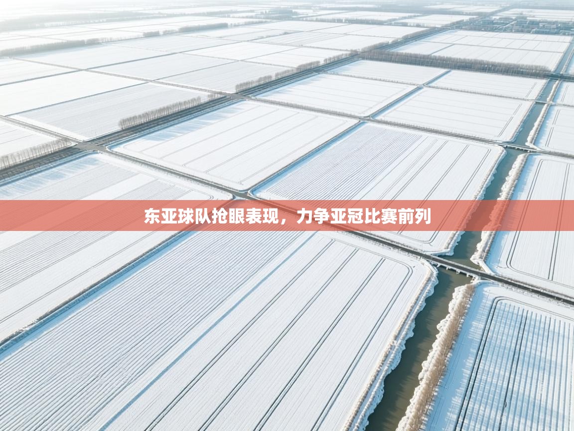 东亚球队抢眼表现,力争亚冠比赛前列 东亚球队抢眼表现,力争亚冠比赛前列