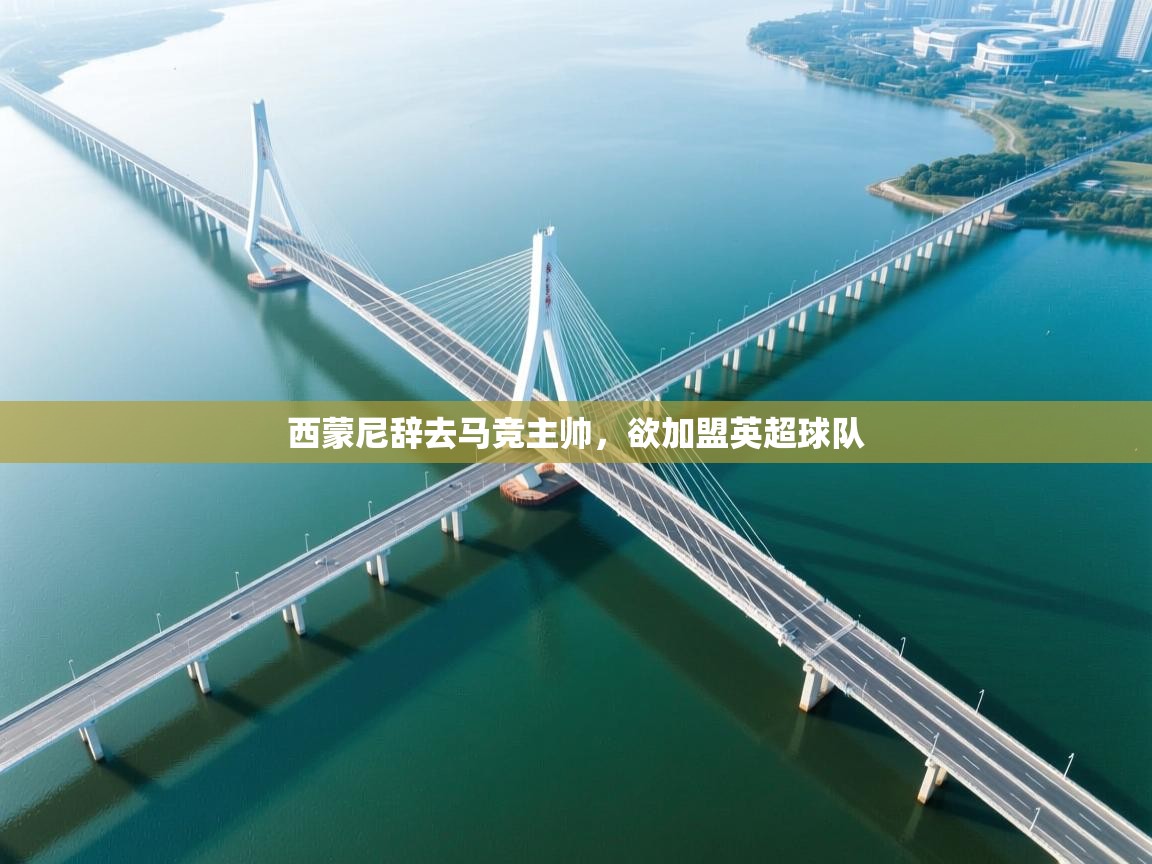 西蒙尼辞去马竞主帅，欲加盟英超球队  第2张