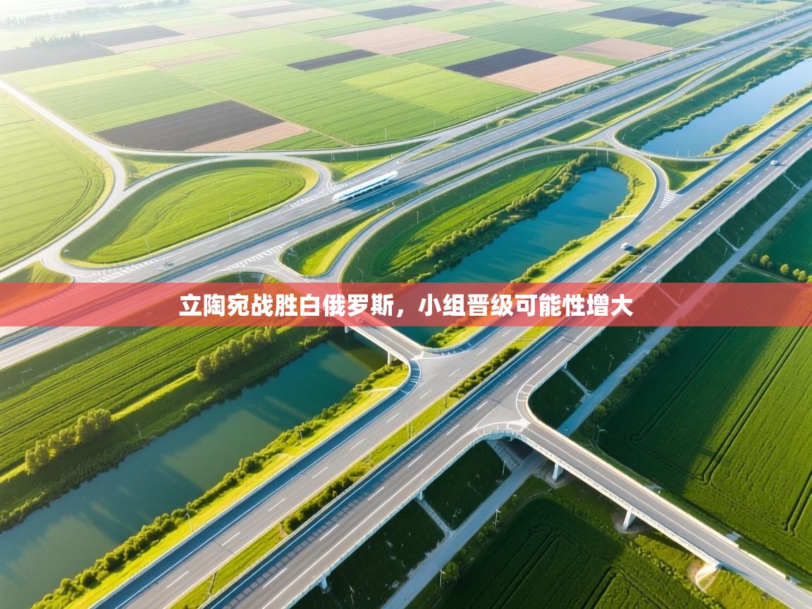 立陶宛战胜白俄罗斯，小组晋级可能性增大